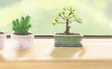 牛年男孩取什么名字好 寓意好不重名推荐