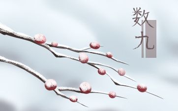 属猪人的三合贵人是谁