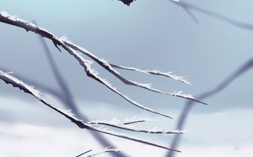 真正的缘分是拆不散的 注定的缘分八字特征