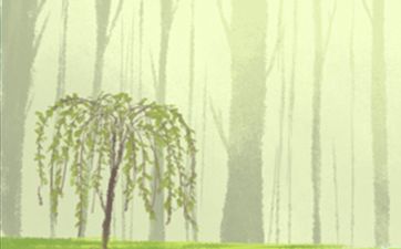 先穷后富的三大生肖 属虎属猪属蛇