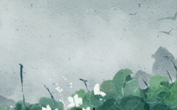 虎男配什么生肖最好 属虎男与属猪的人彼此吸引