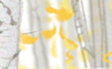 生肖龙本周运势2025年9月16日到9月22日