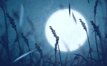人一辈子有多大财运都是命中注定的 人一辈子有多大财是注定的吗