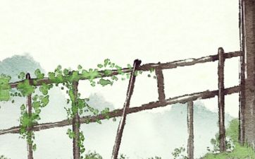 合婚配对：12生肖最旺夫的女人