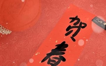 男属鼠女属龙婚配如何