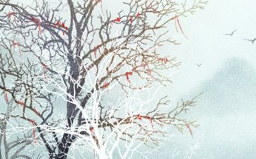 井泉水命最佳配偶 是什么命