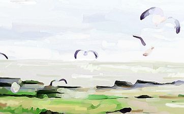 属狗和属兔 属狗和属兔在一起合不合